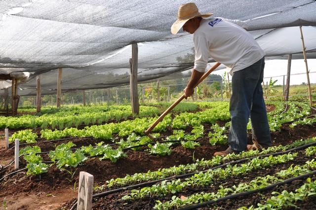 Imagem representando a agricultura e a cidade